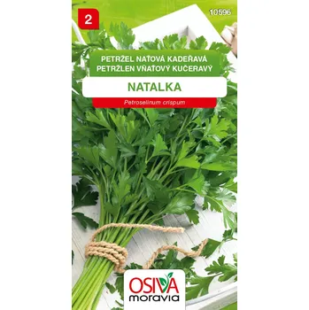 Semeno Petržel naťová hladká - Natalka