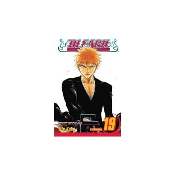 Cizojazyčná kniha Bleach, Vol. 19 - Kubo, Tite