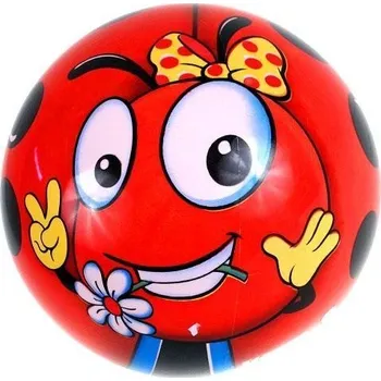 Dětský míč Míč 23 cm - Beruška