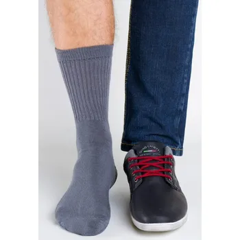 Pánské ponožky Pánské ponožky Regina Socks Polofroté Bambus šedá 43-46