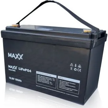 Článková baterie Baterie LiFePO4 12v 100Ah BMS - Maxx