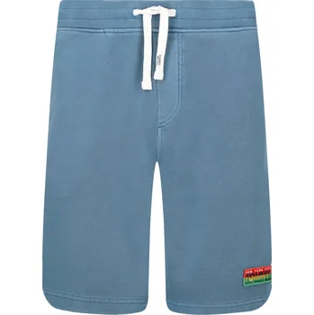 Pánské oblečení Tommy Jeans Šortky | Barva:modrý | Velikost:L