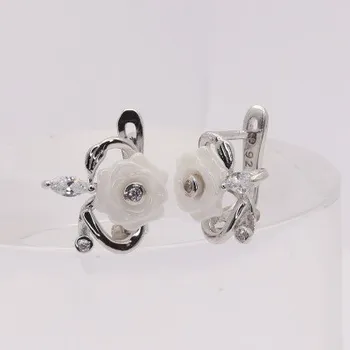 Náušnice Stříbrné náušnice s klasickým zapínáním