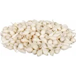 Vilmorin Snowball cibule sazečka bílá…