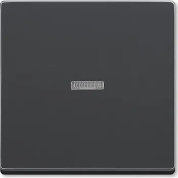 vypínač Kryt vypínače Future linear s průzorem antracitová ABB 3559B-A0065381
