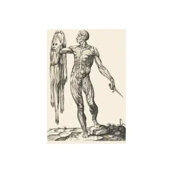 Zahraniční hudba LP Lawrence English: Observation Of Breath 2021