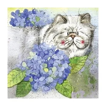 Přání v obálce kočka, Cat in the hydrangea, Alex Clark, 14*14 cm (Přání s kočkou)