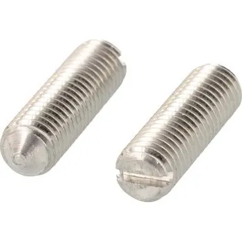 Šroub DIN 553 AISI 303 M 6X10