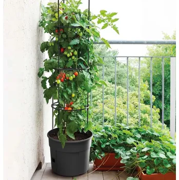 Květináč Deminas | Květináč pro pohodlné pěstování rajčat s podpůrnou konstrukcí