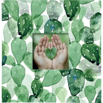 Fotoalbum ALBI Fotoalbum KAKTUSY