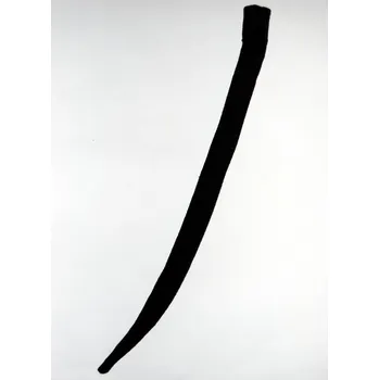 Žertovný předmět Myší ocásek Barva: černá