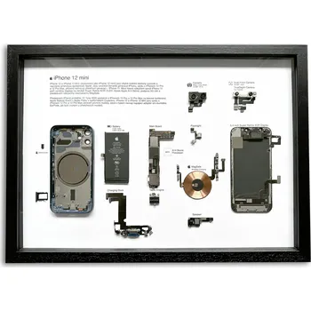 Mobilní telefon Nástěnný obraz iPhone 12 mini