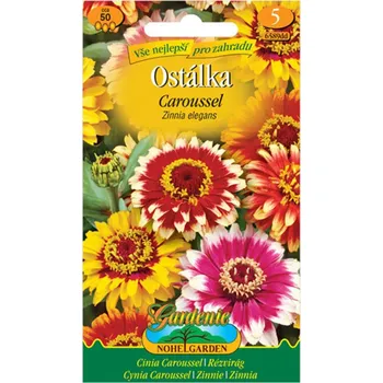 Semeno Nohel Garden Caroussel Ostálka lepá jiřinkokvětá mix barev 50 ks