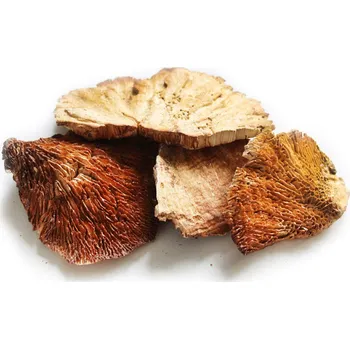 Zahradní dekorace Sušina sponge mushroom 4ks bílá (11113-68/HP)