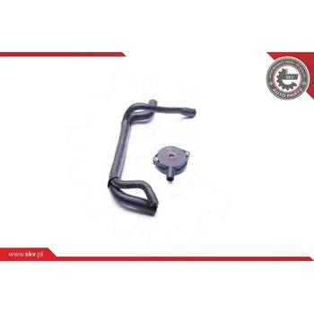 Reparatursatz, Kurbelgehäuseentlüftung ESEN SKV 31SKV101