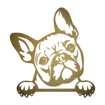 Polep vozidla SAMOLEPKA Pes 184 pravá francouzský buldoček (64 - škrábaný kov zlatý) NA AUTO, NÁLEPKA, FÓLIE, POLEP, TUNING, VLASTNÍ TEXT, TISK, AUTOSAMOLEPKY.cz, POLEPY, OBRÁZEK, LOGO, SAMOLEPKY