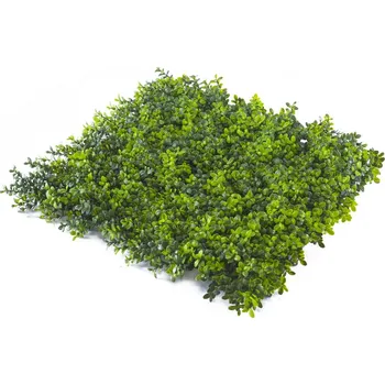 umělý živý plot Umělý živý plot Buxus Japonicus 50 x 50 cm