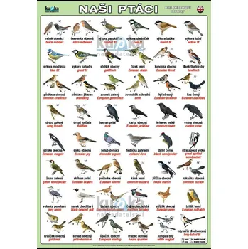 Naši ptáci (česky a anglicky) XL (100x70 cm)