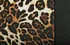 Potah sedadla Lampa 54673 4místný leopard