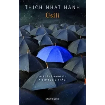 Duchovní literatura Úsilí: Hledání radosti a smyslu v práci - Thich Nhat Hanh