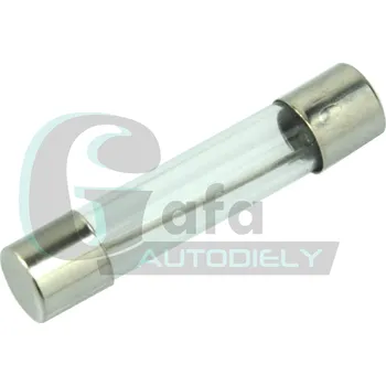 Autopojistky Skleněná pojistka 10A - velká