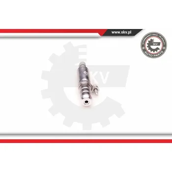 Vačková hřídel SKV Řídicí ventil, seřízení vačkového hřídele 39SKV003