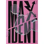 Maxident - Stray Kids [CD]