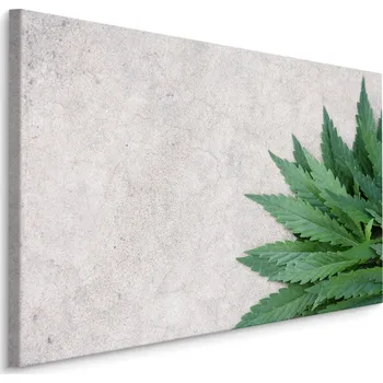 Obraz MyBestHome BOX Plátno Zelené Listy Na Šedém Betonovém Pozadí Varianta: 30x20