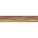 Dlažba Peronda FS Wild wild 20x120 cm mat FSWILD