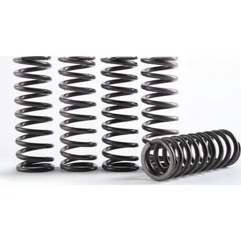 Spojková sada Hi-Temp Clutch Spring Kit HINSON CS341-5-0515 (sada 5)