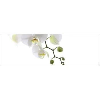 Obklad Koupelnová zádní stěna mySPOTTI aqua Orchidee phala 140x45 cm