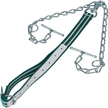 Krční řemen pro skot s dvojitým řetězem - zelenobílý 130 x 4 cm