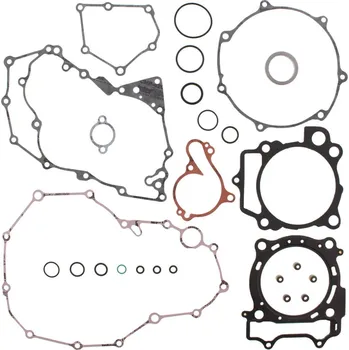 Těsnění motoru Sada těsnění motoru kompletní WINDEROSA CGK 808944