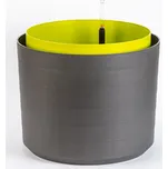 Samozavlažovací velkoobjemová nádoba Plastia BERBERIS 55 antracit+zelená (Samozavlažovací velkoobjemová nádoba Berberis 55 nově doplňuje rodinu samozavlažovacích nádob Berberis.)