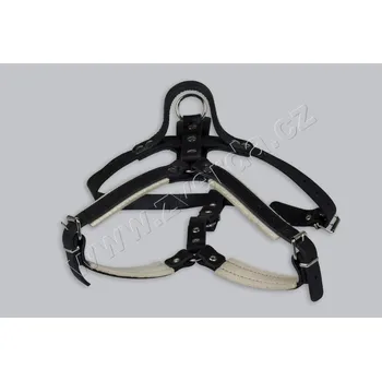 Postroj pro psa Kožený polstrovaný postroj na obranu- pes s úchytem