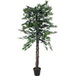 EuroPalms Fikus Benjamin 150 cm