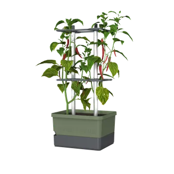 Květináč Gusta Garden Samozavlažovací květináč Charlie Chilly Barva: Zelená