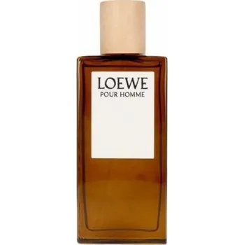 Pánský parfém Loewe Loewe Loewe Pour Homme, Toaletní voda 100ml - Tester Pre mužov Toaletní voda