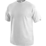 CXS Daniel 1610-001-100