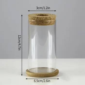 Váza Hydroponický dekorativní květináč | váza - S2