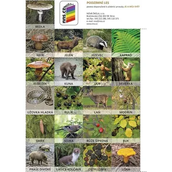 Pexeso 2.ročník Prvouka Já a můj svět Pexeso Podzimní les