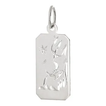 Přívěsek Stříbrný přívěšek znamení Vodnář STRZ1073VODF