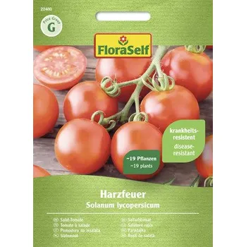 Semeno Rajče salátové Harzfeuer FloraSelf F1 hybrid