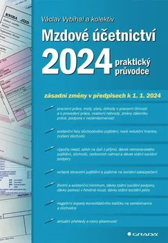 Mzdové účetnictví 2024: Praktický průvodce - Václav Vybíhal a kol. (2024, brožovaná)