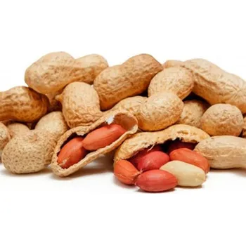 Krmivo pro hlodavce Arašídy nepražené, neloupané (Podzemnice olejná) 500g