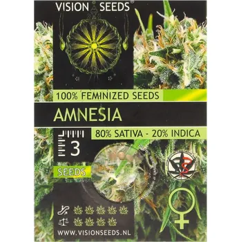 Semeno Amnesia – feminizovaná semena | Vision Seeds Feminized (Ks): 3