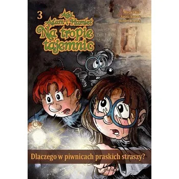 Dlaczego w piwnicach praskich straszy? - opracowanie zbiorowe