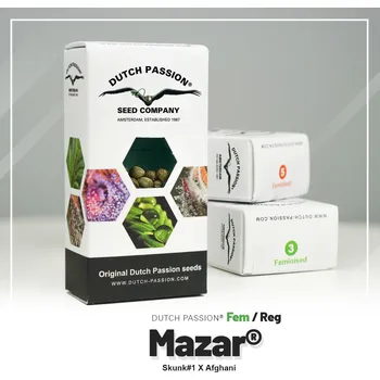 Semeno Mazar® – feminizovaná semena | Dutch Passion Feminized (Ks): 3 + 1 Zdarma