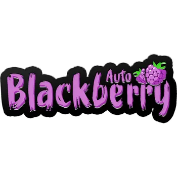 Semeno Blackberry AUTO – samonakvétací semena | Fast Buds Počet semen: 3