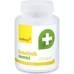 Wolfberry Kotvičník zemní 120 kapslí